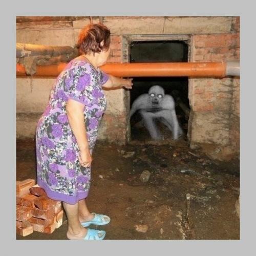 Домовые чаты официально переводят в MAX. 02