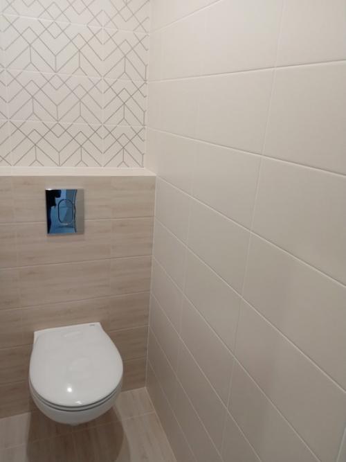 Даже интерьер такого маленького помещения как санузел можно запоминающимся сделать. 03