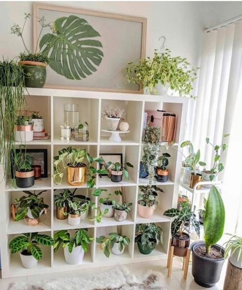 Стильный стеллаж для растений.