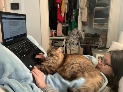 А кто сказал, что удалёнщикам легко? 01