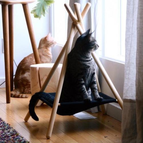 Вигвамы для котов! 02