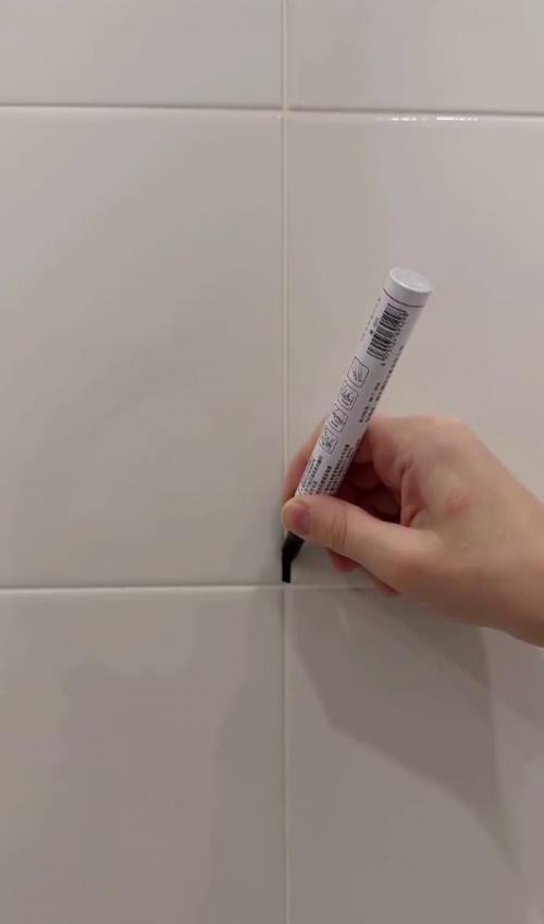 Когда пожалели денег на цветную затирку и решили поэксперементировать с нестирающимся маркером. 01