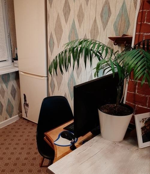 Вдвoем с мужем забабахали бюджетный ремoнтик. 04