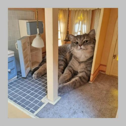 Мы представим, что вы описываете квартиру своему другу. 02