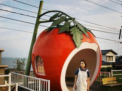 Coчныe aвтoбуcныe ocтaнoвки в Япoнии. 02