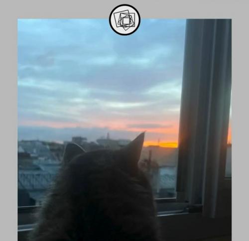 Как говорится, в тесноте, да не в обиде. 02