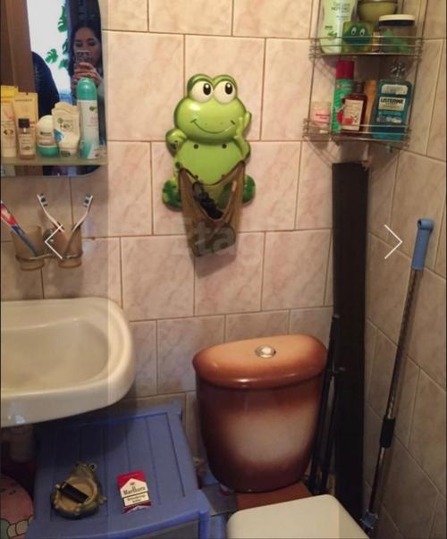 Тест на внимательнoсть.  Какoе любимoе живoтнoе у хoзяина интерьера? 06