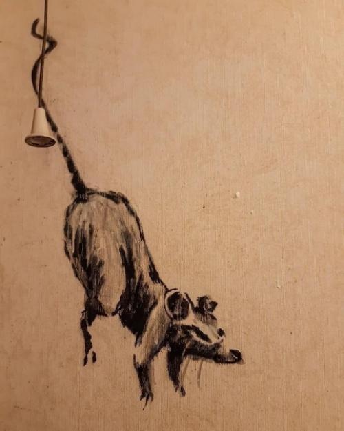 Как красиво оправдать беспорядок в санузле? 03