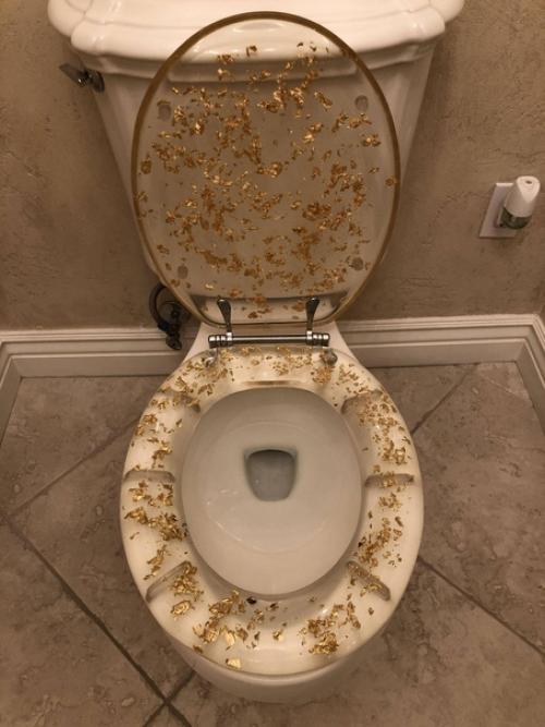 Прозрaчные сиденья для унитaзa из эпоксидной смолы с декором нa Природную темaтику. 03