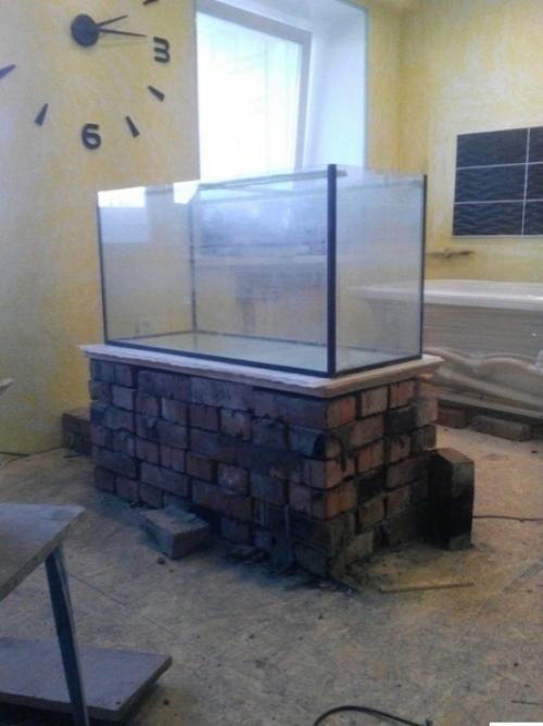 Наша кухня - студия. 01