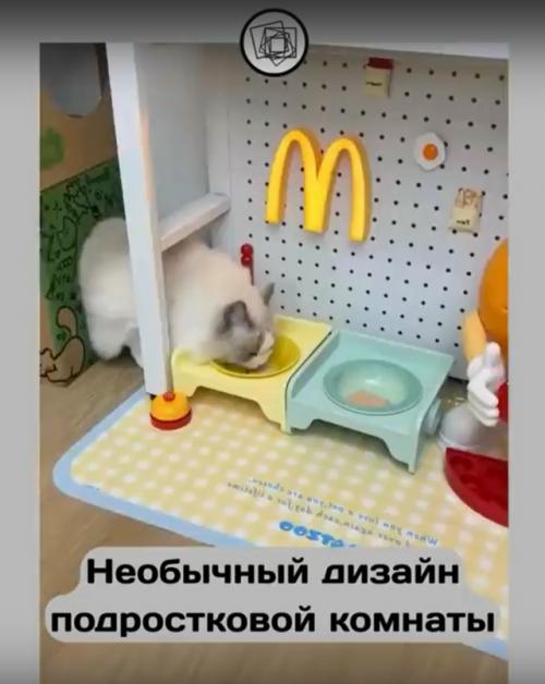 Когда подростки - это котики. 04