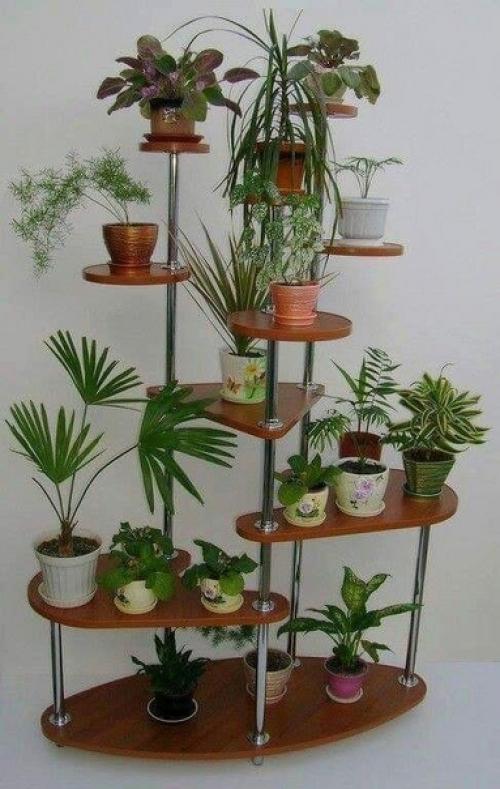 Идеи размещения растений в квартире. 05