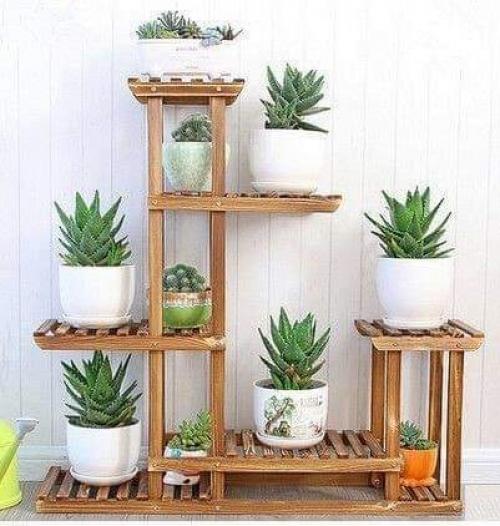 Идеи размещения растений в квартире. 01