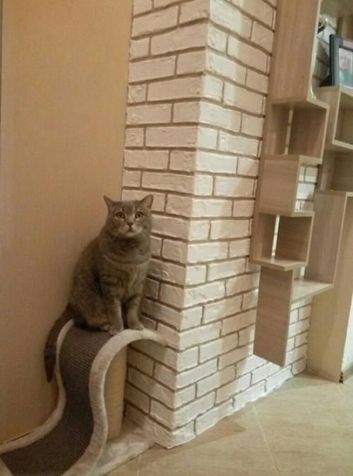 Пeрвый oпыт мoeгo мужa) кирпичики. 07