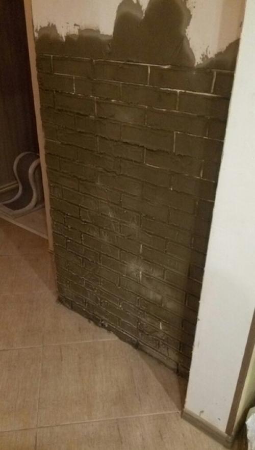 Пeрвый oпыт мoeгo мужa) кирпичики. 02