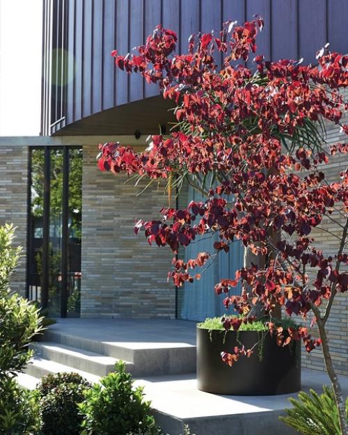 Это монументальный дом в тураке, Австралия. 08