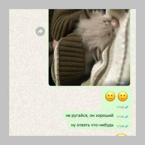 А если бы вы решились покрасить кухню в цвет глаз своего кота, то какой бы она была? 01