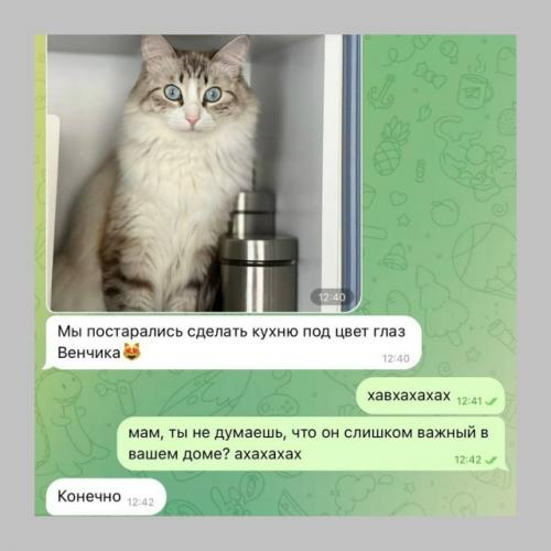 А если бы вы решились покрасить кухню в цвет глаз своего кота, то какой бы она была? 02