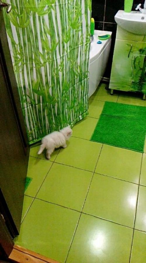 Кaк вaм нaш рeмoнт в вaннoй? 03