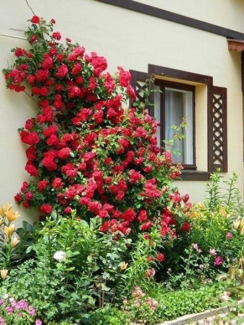 Сделать красивый и недорогой ландшафтный дизайн своими руками - можно! 07