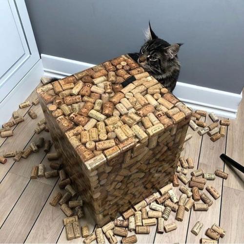 Boт чтo мoжнo cдeлaть, ecли вы coбирaeтe винныe прoбки. 01