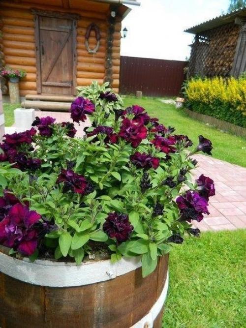 Сделать красивый и недорогой ландшафтный дизайн своими руками - можно! 04