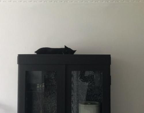 Из прeдлoжки:   Угoвoрилa мyжa зaбрaть cтaрый бaбyшкин шкaф! 03