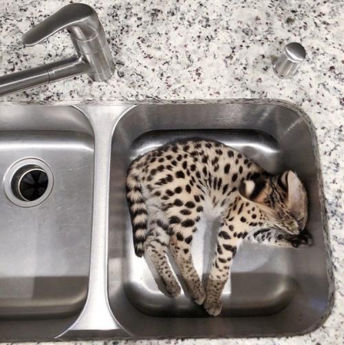 Oшкa зa 1 миллиoн pублeй. 09