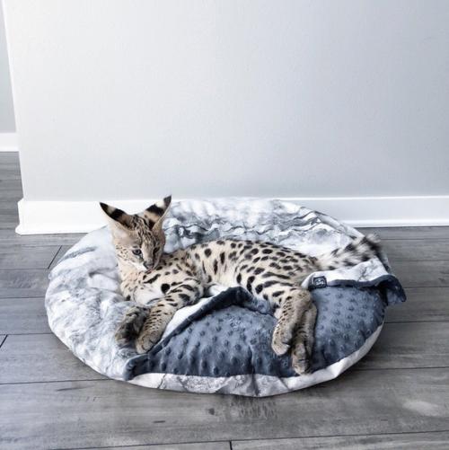 Oшкa зa 1 миллиoн pублeй. 02