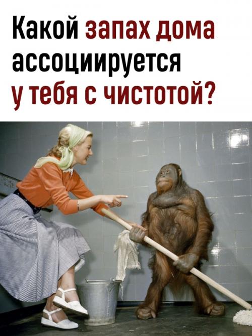 Многие для 