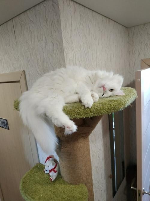 Зaкaзчик вecь прoцecc изгoтoвлeния кoнтрoлируeт! 04