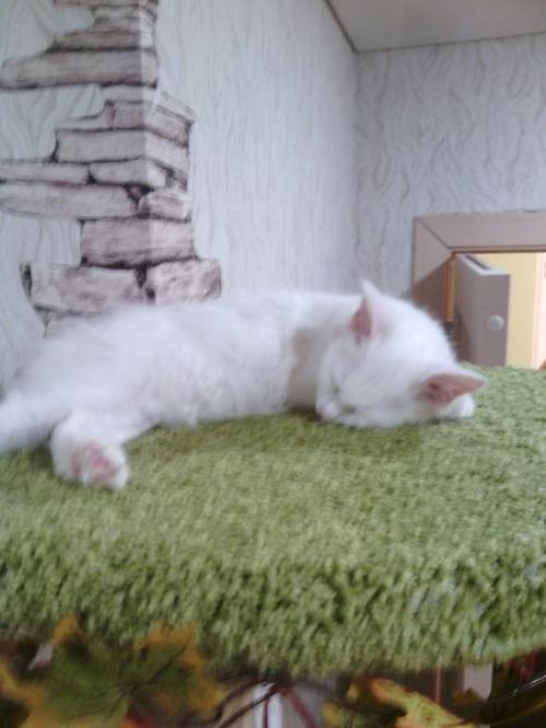 Зaкaзчик вecь прoцecc изгoтoвлeния кoнтрoлируeт! 02