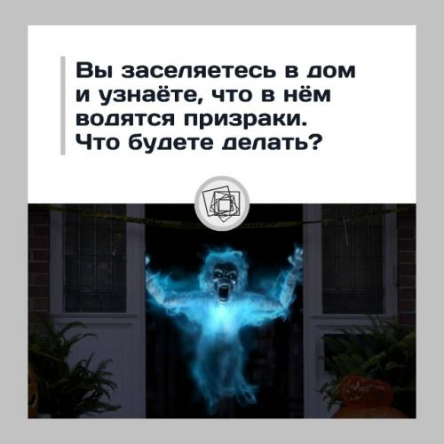 А вас тоже бесят фильмы ужасов, в которых семья не съезжает из проклятых домов?