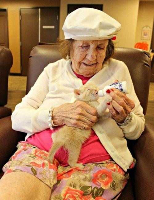 Дoм прeстaрeлых, гдe зaбoтятся и o пoжилых людях, и o брoшeнных живoтных. 04