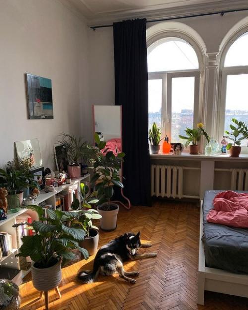 Уютная Зелёная квартира в Москве. 07