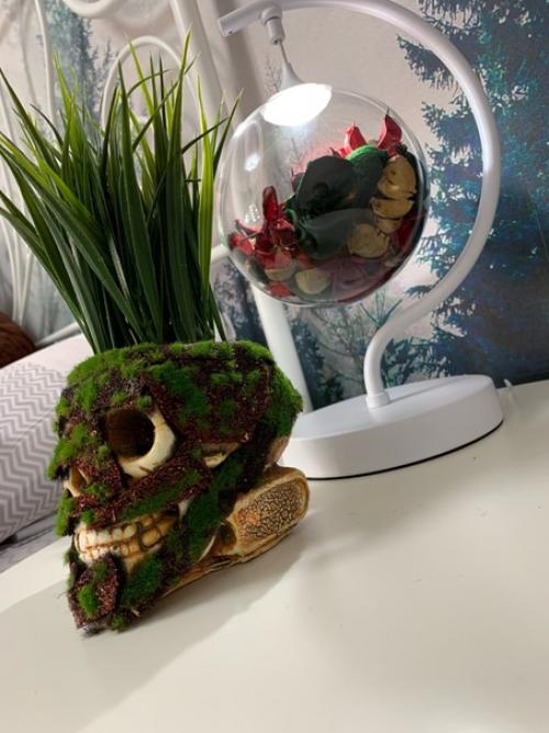 Ремонт комнаты 13 кв. 04