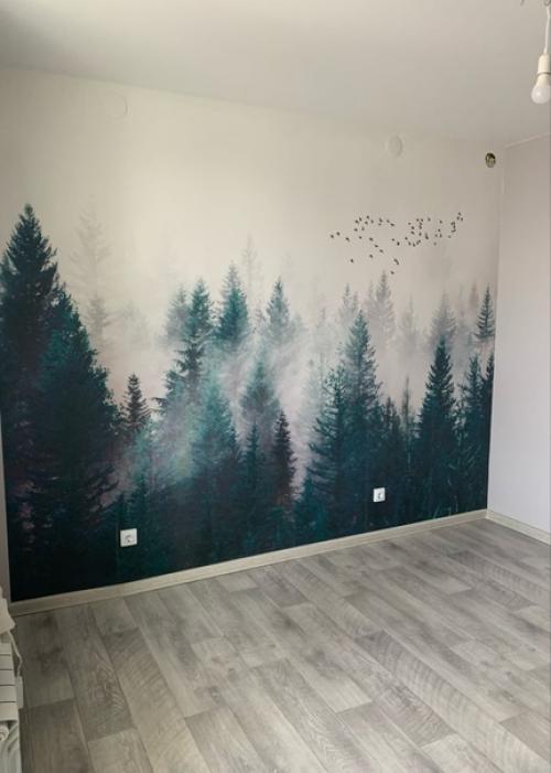 Ремонт комнаты 13 кв.