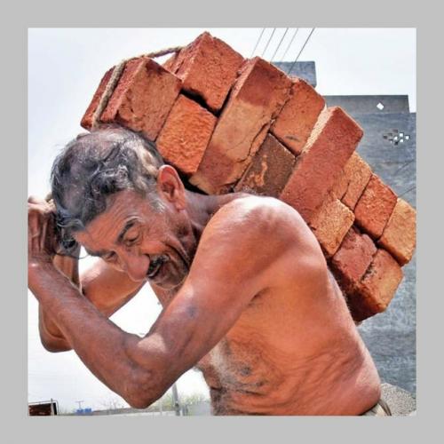 Индусы массово едут в Россию - рост в 22 раза. 04