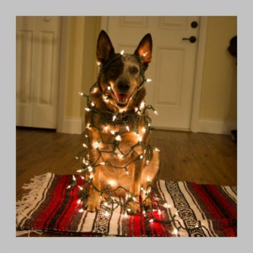 Делитесь своими любимыми новогодними украшениями для дома! 01