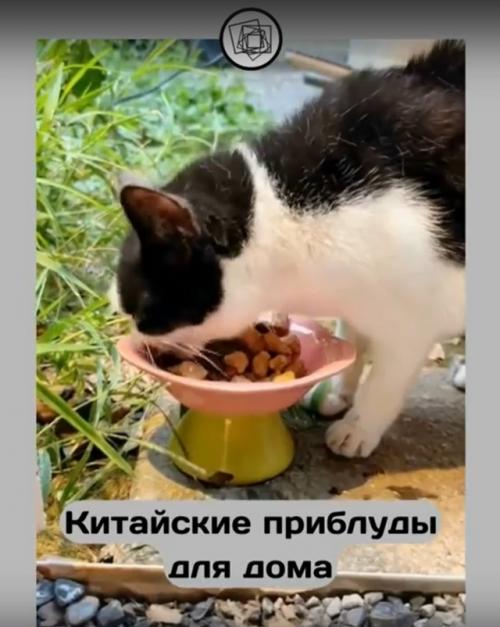 Интересные приблуды, которые сделают из вашей квартиры - олицетворение эстетики. 03