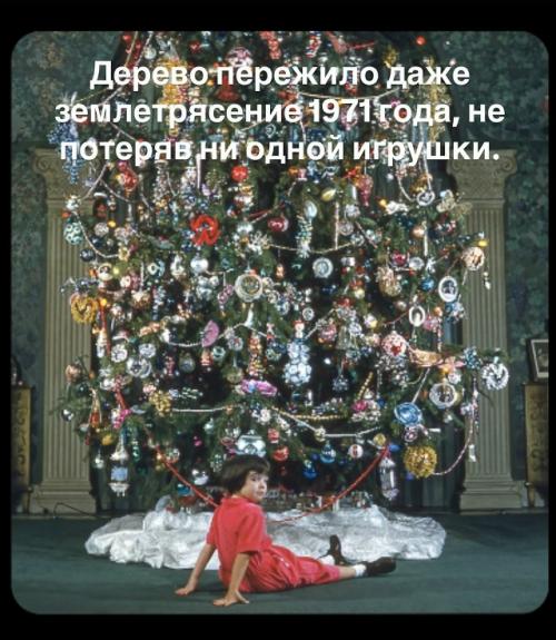 Кажется, это самая красивая ёлка в истории! 04