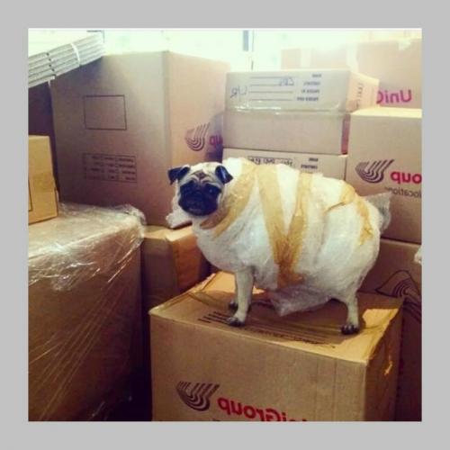 Поделитесь, какую мебель вы купили когда переехали? 03