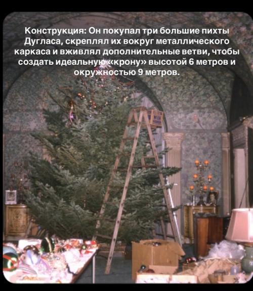 Кажется, это самая красивая ёлка в истории! 01