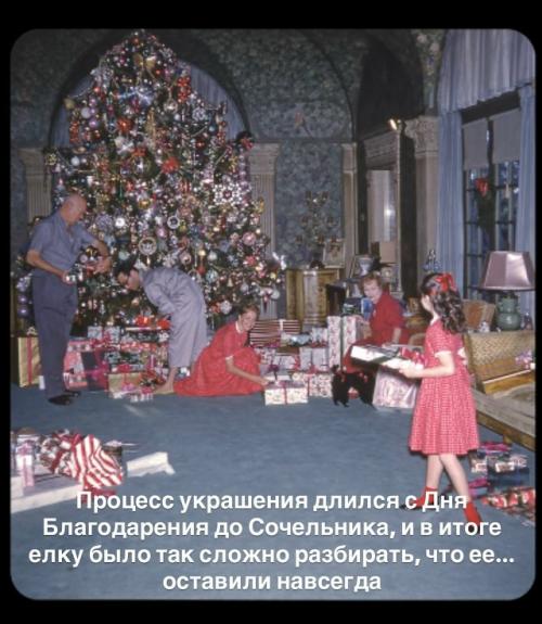 Кажется, это самая красивая ёлка в истории! 03