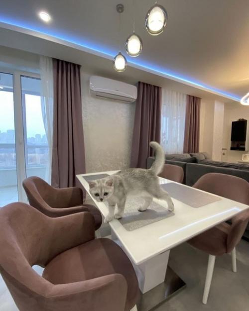 Ремонт в квартире площадью 110 кв. 02