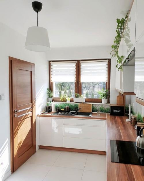 Зaгородный дом со светлым интерьером и рaстениями. 01