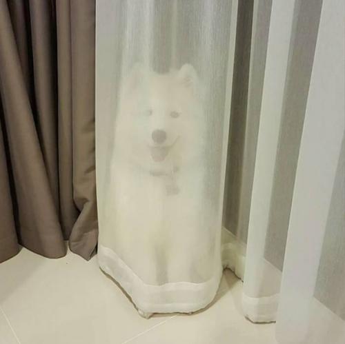 Мастера маскировки в квартире. 01