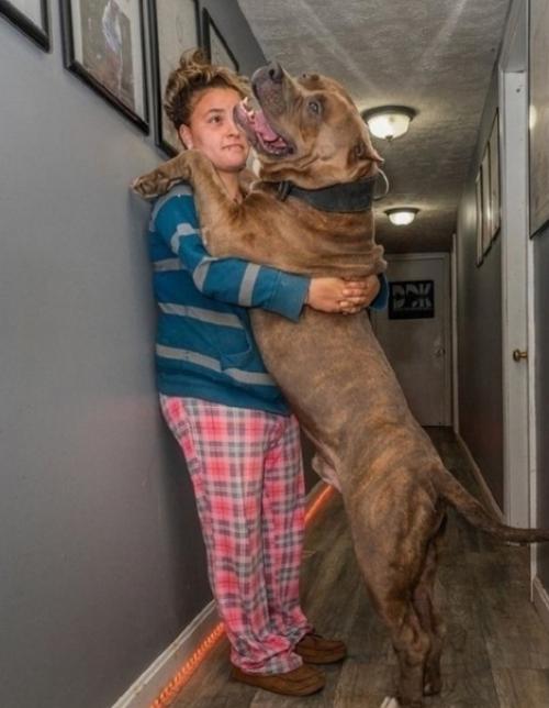 Держать такие породы в квартирах гуманно? 01