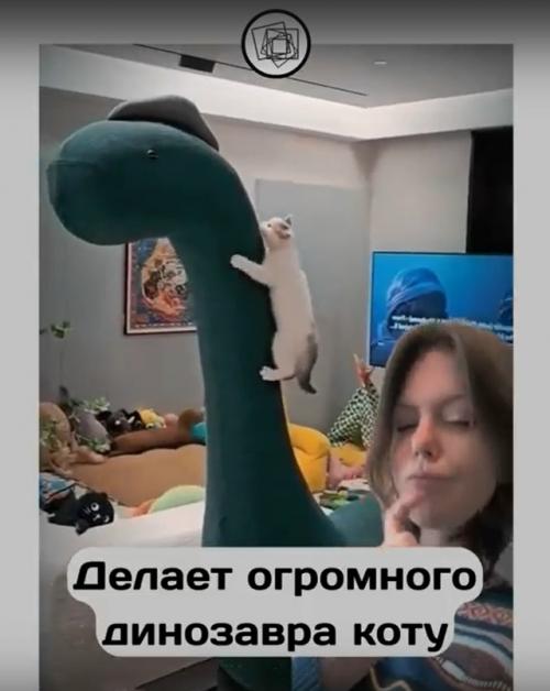 Зачем покупать дорогущие когтеточки, если можно сделать его дома самостоятельно.


