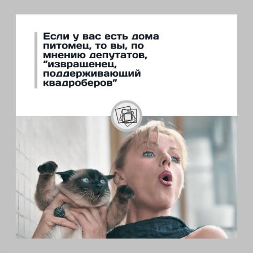 Прикиньте, как бабушки обалдеют от этой новости.

